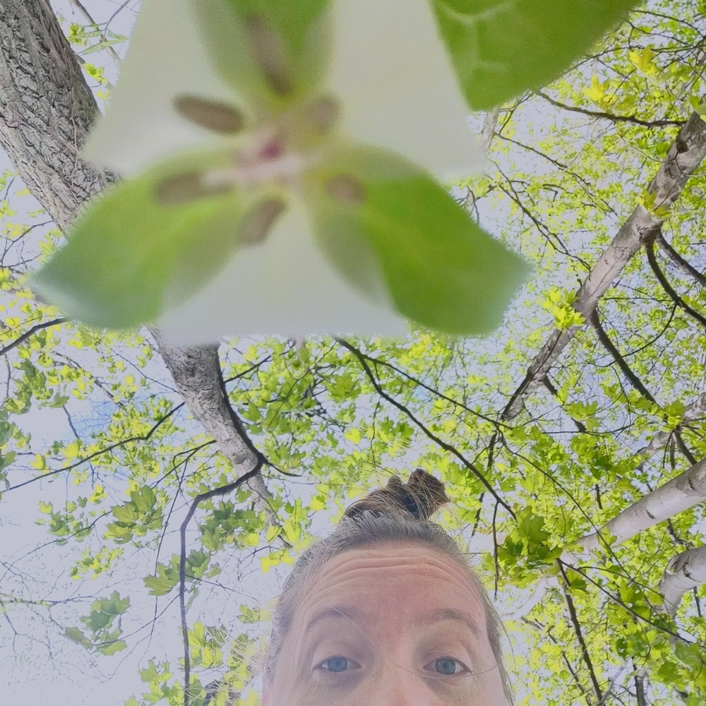 Bundle 3 to save 30%, Welcome to my closet!